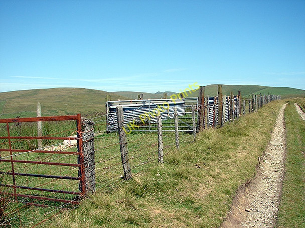 Photo 6"x4" Mountainside sheepfolds Hendre\/SH5909 c2006