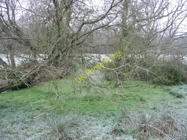 Photo 6"x4" Small overgrown pond under the trees Upper Minety c2009