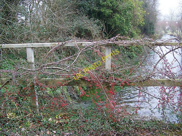 Photo 6"x4" Bridge over the River Ebble Croucheston c2009