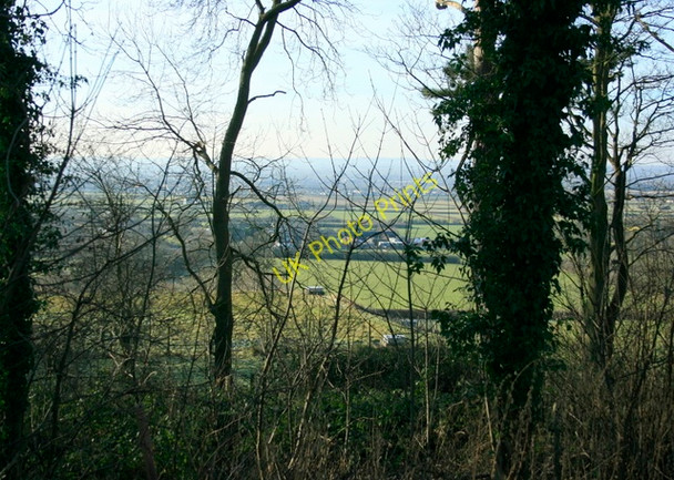 Photo 6"x4" 2009 : West toward Melksham Melksham Forest c2009