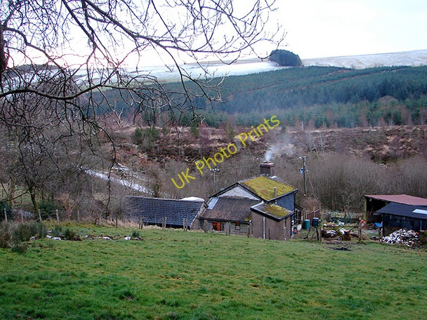 Photo 6"x4" Panty-yr-esgair farm Tynyrwtra\/SN8885 c2009