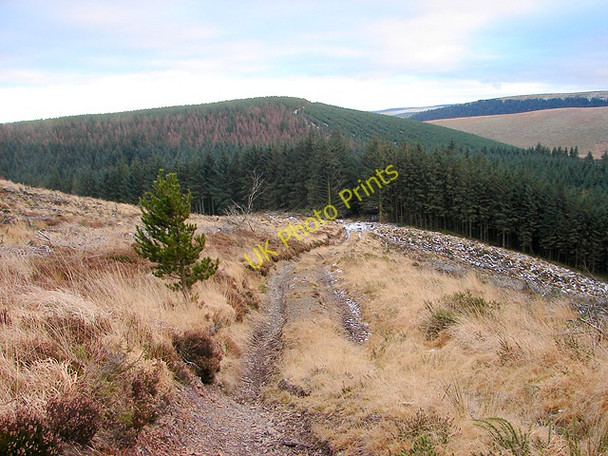 Photo 6"x4" Descending from Drum Maen Tynyrwtra\/SN8885 c2009 P1