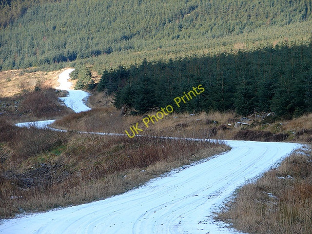 Photo 6"x4" Hafren Forestry Road at Bryn Bach Pant Mawr\/SN8482 c2009
