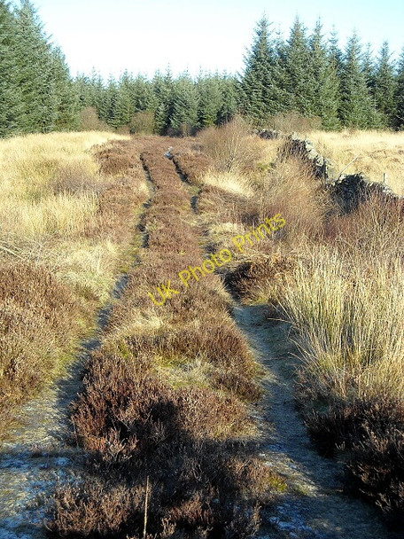 Photo 6"x4" Track Near Barwinnock Barjarg Hill c2009