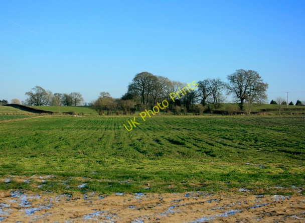Photo 6"x4" 2009 : East from Sandridge Lane Westbrook\/ST9565 c2009
