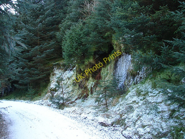 Photo 6"x4" Hafren Forestry Road Pant Mawr\/SN8482 c2009