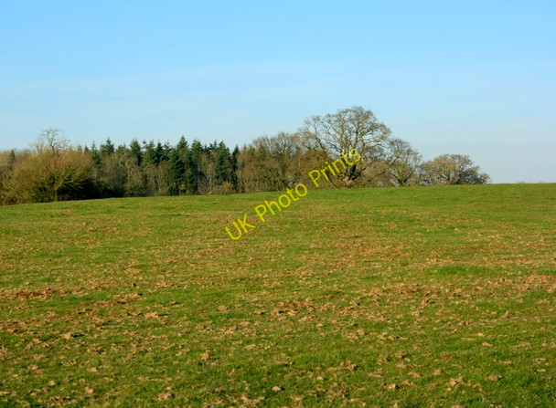 Photo 6"x4" 2009  : North from the A3102 near Westbrook Westbrook\/ST9565 c2009