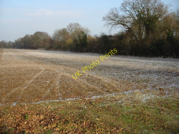Photo 6"x4" Frosted field boundary on Kelk Hill Chillenden c2009