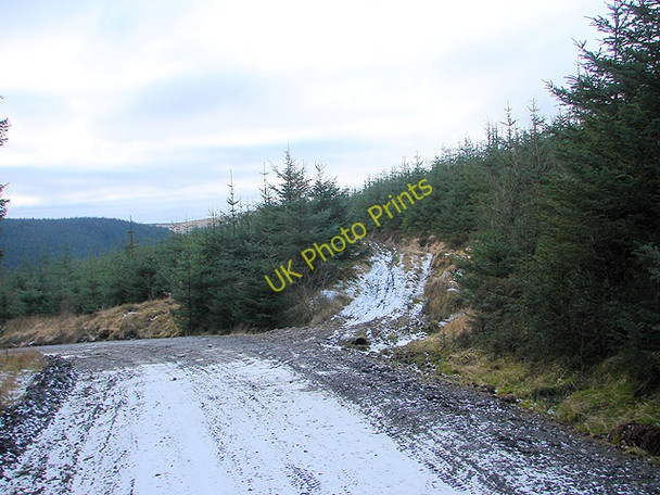Photo 6"x4" Hafren Forestry Road Tynyrwtra\/SN8885 c2009