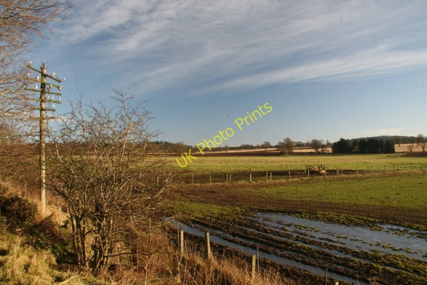 Photo 6"x4" Swirl wood from the disused railway Bridgend\/NO3747 c2009