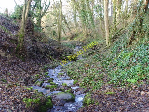 Photo 6"x4" The burn by The Bishop's Walk Nigg\/NH8071 c2009