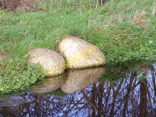 Photo 6"x4" Pond along The Bishop's Walk  (detail) Nigg\/NH8071 c2009