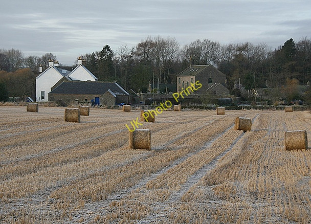 Photo 6"x4" Frosty bales, Kirkton of Kinnettles Kirkton\/NO4246 c2009