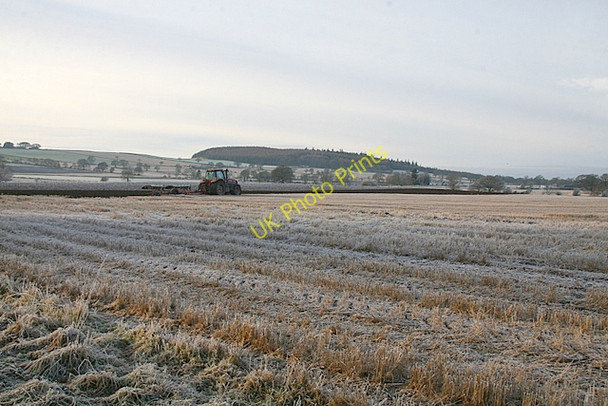 Photo 6"x4" Preparing for Spring Douglastown c2009