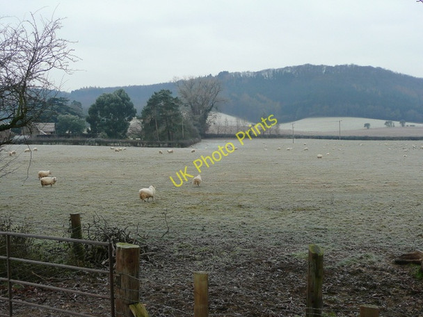Photo 6"x4" Frosty pastures 2 Ross-on-Wye c2009