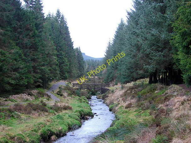 Photo 6"x4" Footbridge over the Severn Hafren Forest c2009