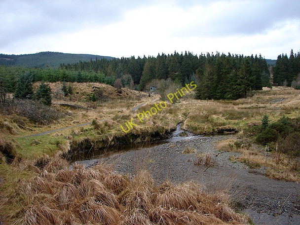 Photo 6"x4" The confluence of The River Severn and Nant Tanllwyth Hafren Forest c2009