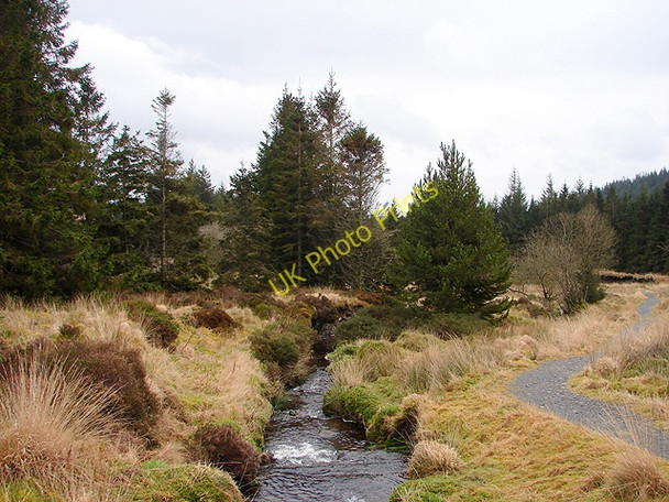 Photo 6"x4" Nant Tanllwyth looking downstream Hafren Forest c2009