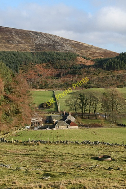Photo 6"x4" Nether Scythe Farm Braes of Coul c2009