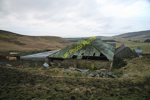 Photo 6"x4" Hilton Farm Braes of Coul c2009