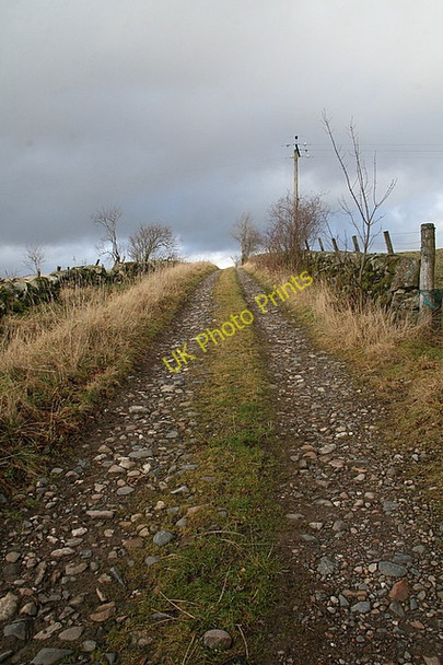 Photo 6"x4" Farm track near Loch of Lintrathen Bridgend of Lintrathen c2009
