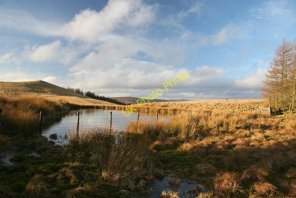Photo 6"x4" Duck pond and hide, The Carrach Bridgend of Lintrathen c2009