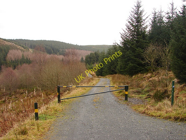 Photo 6"x4" The Severn Way emerges onto a forestry road at Rhaeadr Blaenhafren Carn Biga c2009