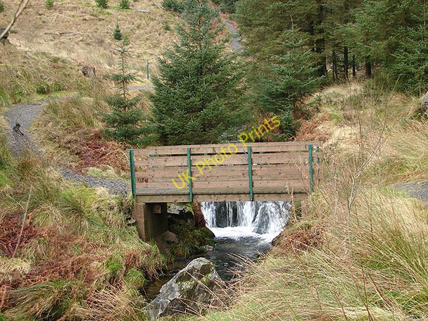 Photo 6"x4" Footbridge across the Severn Carn Biga c2009