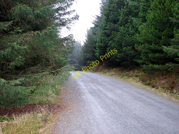 Photo 6"x4" Forestry road in Hafren Carn Biga c2009