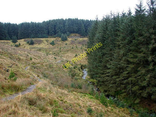 Photo 6"x4" The Severn Way Carreg Wen c2009