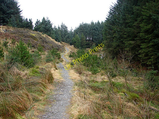 Photo 6"x4" The Severn Way Source of River Severn \/ Afon Hafren c2009