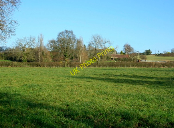 Photo 6"x4" 2009 : East from Mill Lane Dertfords c2009