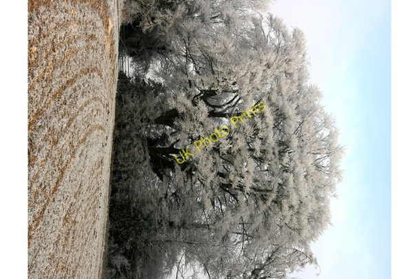 Photo 6"x4" Hoar frost on Brockham Hill Alton\/SU7139 c2009