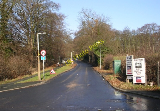 Photo 6"x4" Elmete Lane - Wetherby Road Lady Wood\/SE3337 c2009