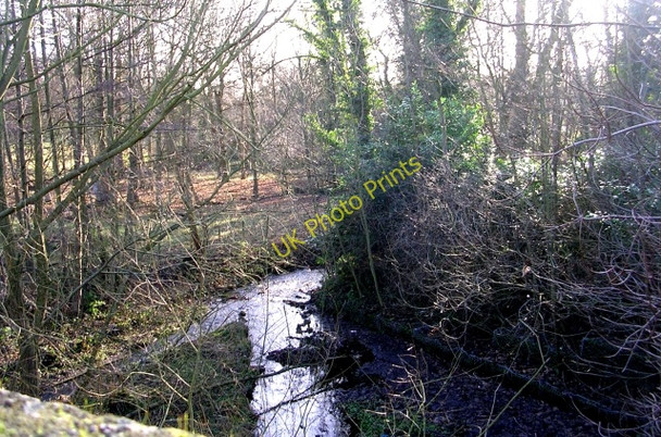 Photo 6"x4" Stream - Wetherby Road Lady Wood\/SE3337 c2009