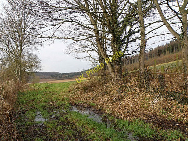 Photo 6"x4" Herefordshire Farmland Pontshill c2009