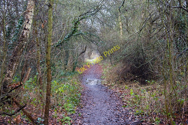 Photo 6"x4" Beyond Mill Hill East Hendon\/TQ2389 c2009