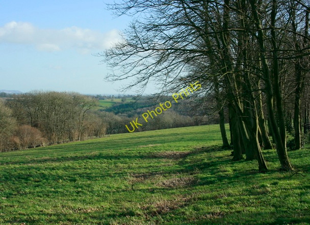 Photo 6"x4" 2009 : South east near Euridge Lane Thickwood c2009