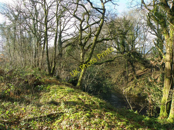 Photo 6"x4" River Towy\/Afon Tywi Cilycwm c2009
