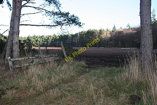 Photo 6"x4" Gate in the Shade Bogmoor c2009