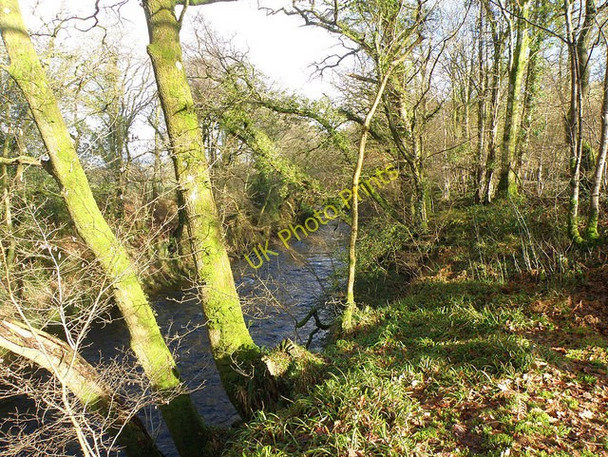 Photo 6"x4" The River Towy\/Afon Tywi Cilycwm c2009