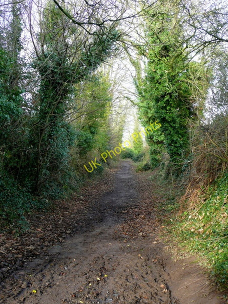 Photo 6"x4" Footpath from the end of Cleeve Lane, Ross-on-Wye Ross-on-Wye c2009