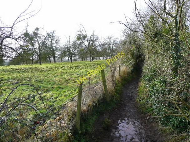 Photo 6"x4" Footpath west of Ross-on-Wye Ross-on-Wye c2009