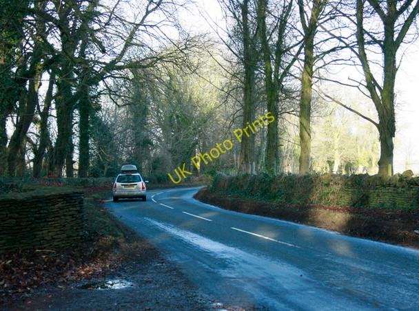 Photo 6"x4" 2009 : Near Lucknam Park Thickwood c2009