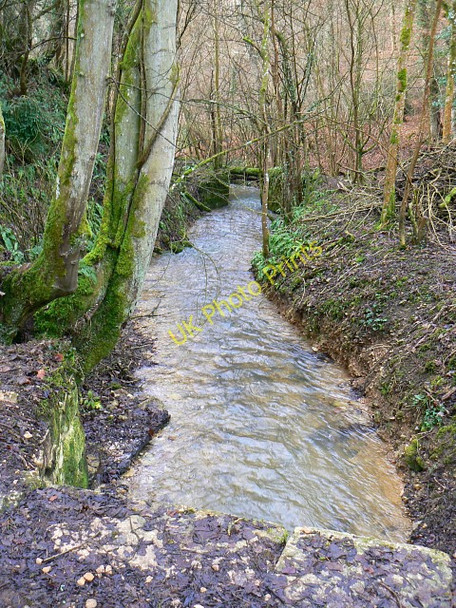 Photo 6"x4" River Frome, Dorvel Wood, Sapperton Daneway c2009