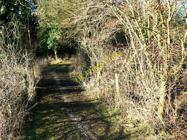 Photo 6"x4" Track, Siccaridge Wood, near Frampton Mansell Far Oakridge c2009
