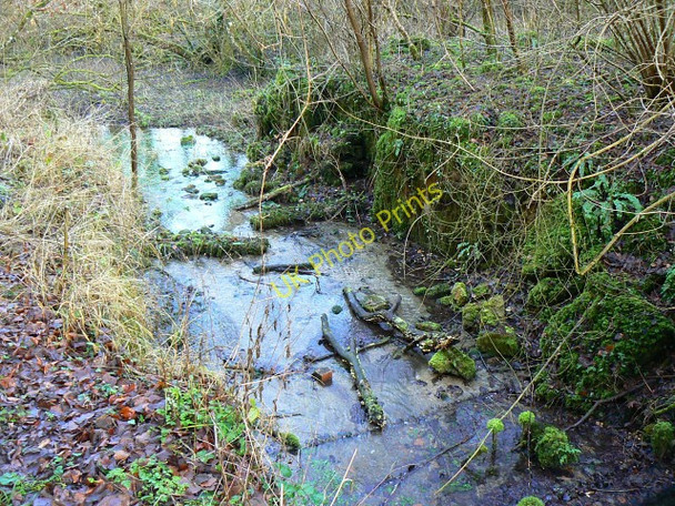 Photo 6"x4" Siccaridge Wood Upper Lock (2), Thames and Severn canal, near Frampton Mansell Daneway c2009