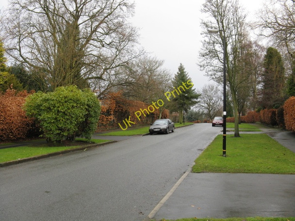 Photo 6"x4" Hale Barns - Carrwood, looking north Hale\/SJ7686 c2009