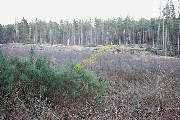 Photo 6"x4" Near Maryhill Inchberry\/NJ3155 c2009