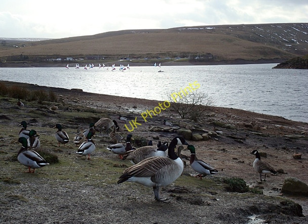 Photo 6"x4" Experts and novices Harden\/SE1503 c2009